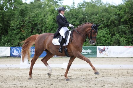 S-Sieg Nummer zwei in Ichenheim: Larissa Ullmann mit Miss Marple | © D. Matthaes