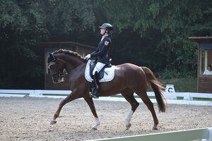 Ponymeisterin Emily Raff (Überlingen) mit Dolittle | © D. Matthaes