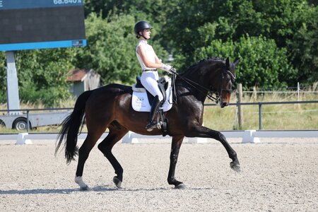 Carla Müller und Dumbledore sorgen im Viereck bei den Junioren für Aufsehen | © D. Matthaes
