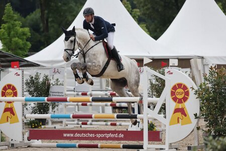 PBM Carl Josef unter Jochen Pfefferle siegte bei den sechsjährigen Springpferden. | © D. Matthaes