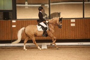 Franka Müller liegt bei den Süddeutschen Ponymeisterschaften  | © Dill