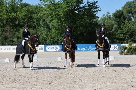 Die Champions der dreijährigen Stuten und Wallache, der vierjährigen Stuten und Wallache und der vierjährigen Hengste | © D. Matthaes