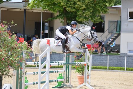 Beste baden-württembergische Springreiterin bei den Süddeutschen Pony-Meisterschaften in Güglingen: Liona Ost mit der Schimmelstute Minervas Coco | © Dill