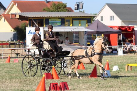 Anna Grundmann mit Pony Jina heute in Ichenheim | © Herbert Rauser