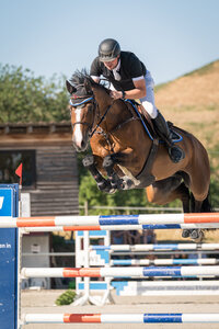 SMA Chandela Blue springt unter Manuel Friederichs zum ersten S-Sieg. | © KS-Fotografie (Katharina Sack) & Conker01_Photography