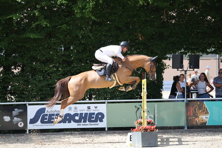 Benjamin Wulschner mit seinem irischen Wolf  | © D. Matthaes
