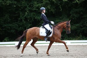 Carla Müller siegte mit Wallstreet bei den Ponys. | © D. Matthaes