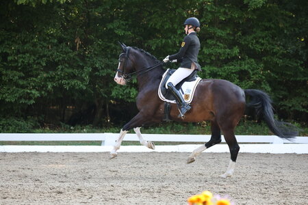Clara Vetter galoppierte mit Q Silberaster’s Quaterback  zum Titel in der Junioren-Pflicht. | © D. Matthaes