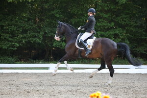 Clara Vetter galoppierte mit Q Silberaster’s Quaterback  zum Titel in der Junioren-Pflicht. | © D. Matthaes