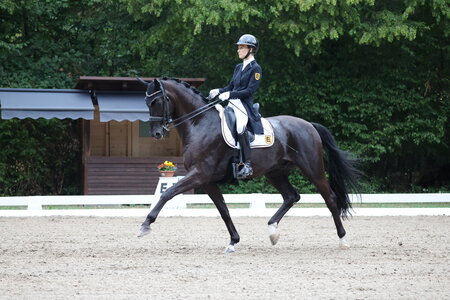 Valerie del Rio Pfeffer und Braveheart siegen in der ersten Wertungsprüfung der Amateure. | © D. Matthaes