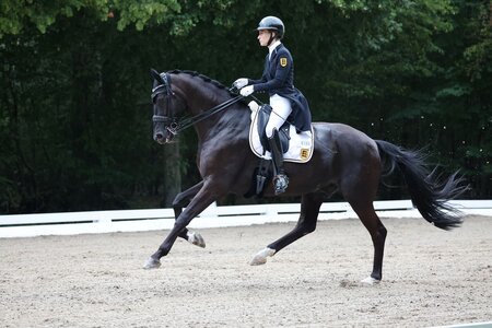 Valerie del Rio Pfeffer galoppierte bei den Amateuren mit Braveheart souverän zu Gold. | © D. Matthaes