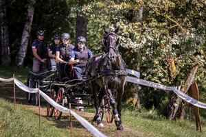 Spannend wird's bei der Einspänner-WM in München-Riem. | © Nines Fotografie