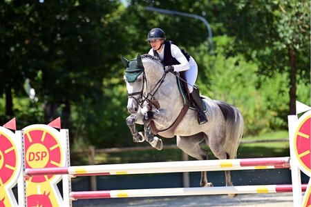 Zum DSP-Titel FBW Clintina unter Anne Götter | © Dill