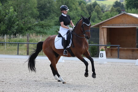 Clara Erkens siegt heute in Waiblingen mit ihrem Edmonton | © Doris Matthaes (Archiv)