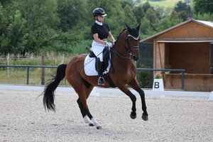 Clara Erkens siegt heute in Waiblingen mit ihrem Edmonton | © Doris Matthaes (Archiv)