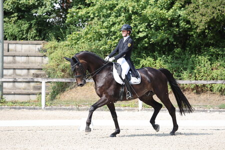 Lisa Steisslinger und ihr Sir Toivo stehen in Waiblingen in der S** an der Spitze | © Doris Matthaes