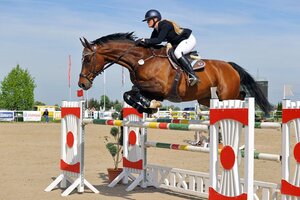 Dreamteam: Alina Hertwig und ihr Wallach Lucky | © Dill (Archiv)