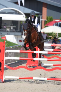 Seit sechs Jahren ein Team: Liv Sauter und ihre Trixi. | © D. Matthaes (Archiv)
