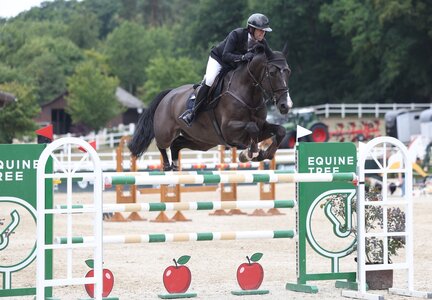 Siegreich im Großen Preis: Adrian Schmid und der Holsteiner Kay One. | © Roger Müller