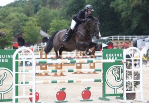 Siegreich im Großen Preis: Adrian Schmid und der Holsteiner Kay One. | © Roger Müller