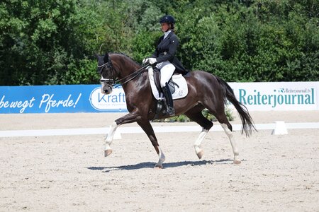 Leonie Laier und FBW Belasol trabten beim Birkhof Dressurfestival zum nächsten S*-Sieg. | © D. Matthaes