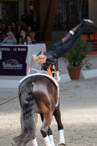 Lara Andrew startete stark in die Europameisterschaft in Le Mans | © The vaulting review