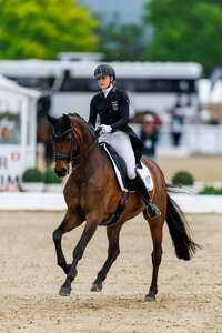 Katharina Schuster und Qence sammelten in Elmlohe gute Platzierungen. | © Lafrentz