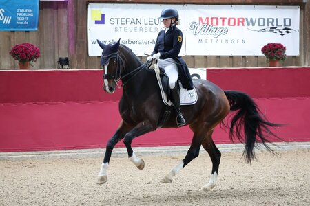Lisa Buchhold und Birkhof's Zaza galoppierten in Biberach zu einem S**-Sieg. | © D. Matthaes