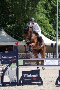 Tobias Schwarz und Baku sprangen in Gundelfingen zum nächsten S-Sieg. | © D. Matthaes