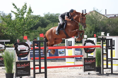 Top-Ritte in Killingen: Rossen Raitchev | © D.  Matthaes