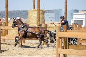Philipp Stolzenberger zeigt sich stark im Gelände in Osorhei | © Jagoda Karpińska