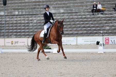 Carla Müller gehört mit Wallstreet E WE zu den Top-Favoritinnen für den Pony Dressur Master. | © D. Matthaes