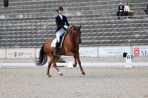 Carla Müller gehört mit Wallstreet E WE zu den Top-Favoritinnen für den Pony Dressur Master. | © D. Matthaes