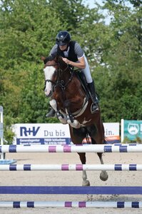 Die Familie Zollmann springt mit gleich zwei Ponys aus Familenzucht ins Finale der fünfjährigen Springponys. | © D. Matthaes (Archiv)