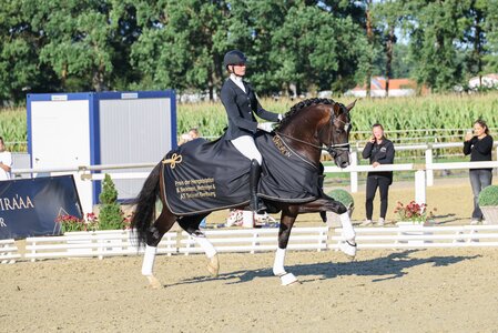 Sieger Be my Guest aus Baden-Württemberg in niederländischem Besitz | © Beelitz