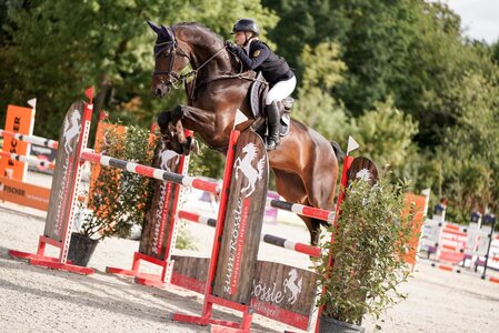 Im Sattel von Chaccateur erhielt Emilia Schlüsselburg eine Wertnote von 8,8. | © Isabelvk.fotografie
