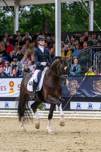 Be my Guest FBW und Dionne Korringa sicherten sich bei den vierjährigen Hengsten den Vizetitel. | © Equitaris