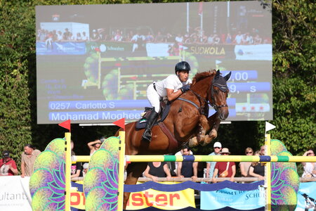 Maurice Alshehab und Carlotto siegen auch im Großen Preis von Bietigheim-Bissingen. | © D. Matthaes