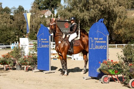 Alina Hertwig und Lucky führten das S-Springen von Hauerz an. | © Janina Sanwald