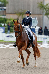 Carina Harnisch und DSP Sheldon Cooper kratzten in der Grand Prix Kür von Ising an der magischen 80-Prozentmarke. | © Lafrentz
