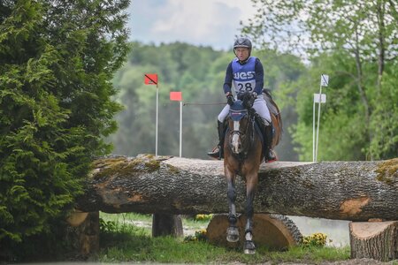 Michael Jung und fischerSolution II | © TomsPic