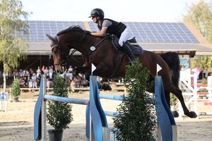 Überlegene Siegerin im Nordbadischen Amateurchampionat: Sina Urban auf Cox | © D. Matthaes