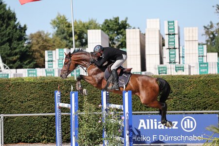 Besser beritten als je zuvor: Championatsreiter Rossen Rytchev, hier mit Stakkatos Conzino | © D. Matthaes