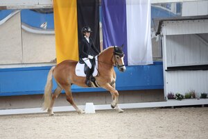 Jona Emilia Heier gewinnt heute beim Landesjugendcup der Großpferde Dressur | © Doris Matthaes