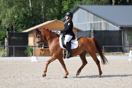 Sophia Bäuerle und Cromwell sind für das Bundesnachwuchschampionat Pony nominiert. | © D. Matthaes
