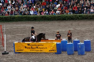 In wenigen Tagen findet das Finale des Schulpferdecups statt. | © Knisel-Eberhard