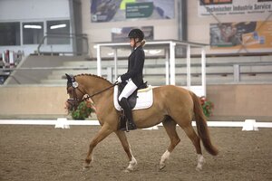 Supersolide: Die neue Nordbadische Ponymeisterin Luisa Menrath | © D. Matthaes
