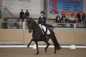 So schön kann Dressurreiten sein: Fiona Lukas mit ihrem Aragorn | © D. Matthaes
