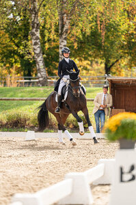 Anna-Lisa Schepper und EMH Rock’n Rose FBW gewinnen die S-Dressur in Tübingen.  | © Bambi Fotografie