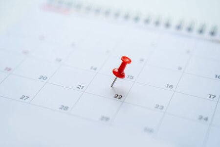 Casting für Vielseitigkeitsreiter-innen in Nussdorf | © AdobeStock